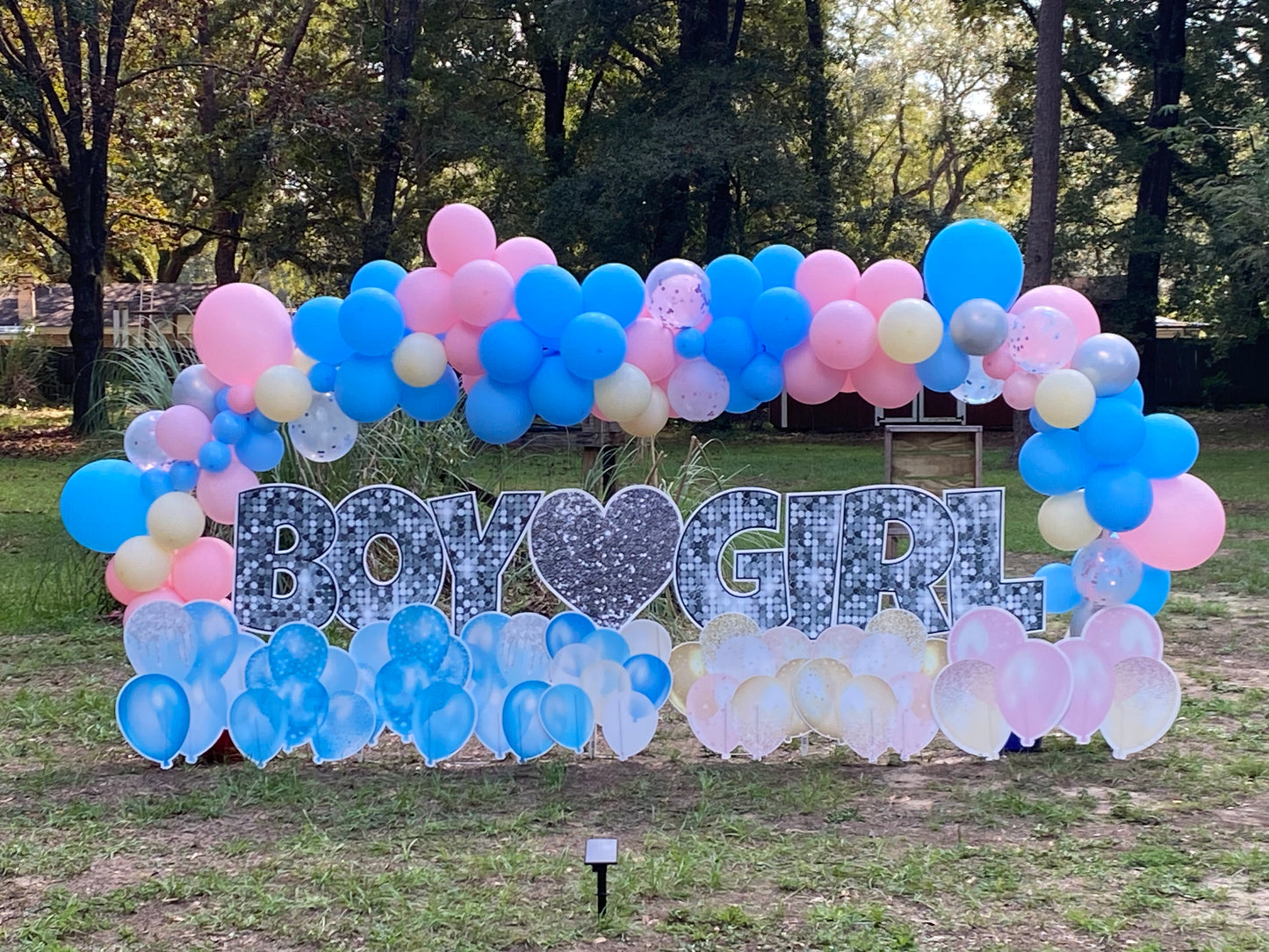 Balloon Arch