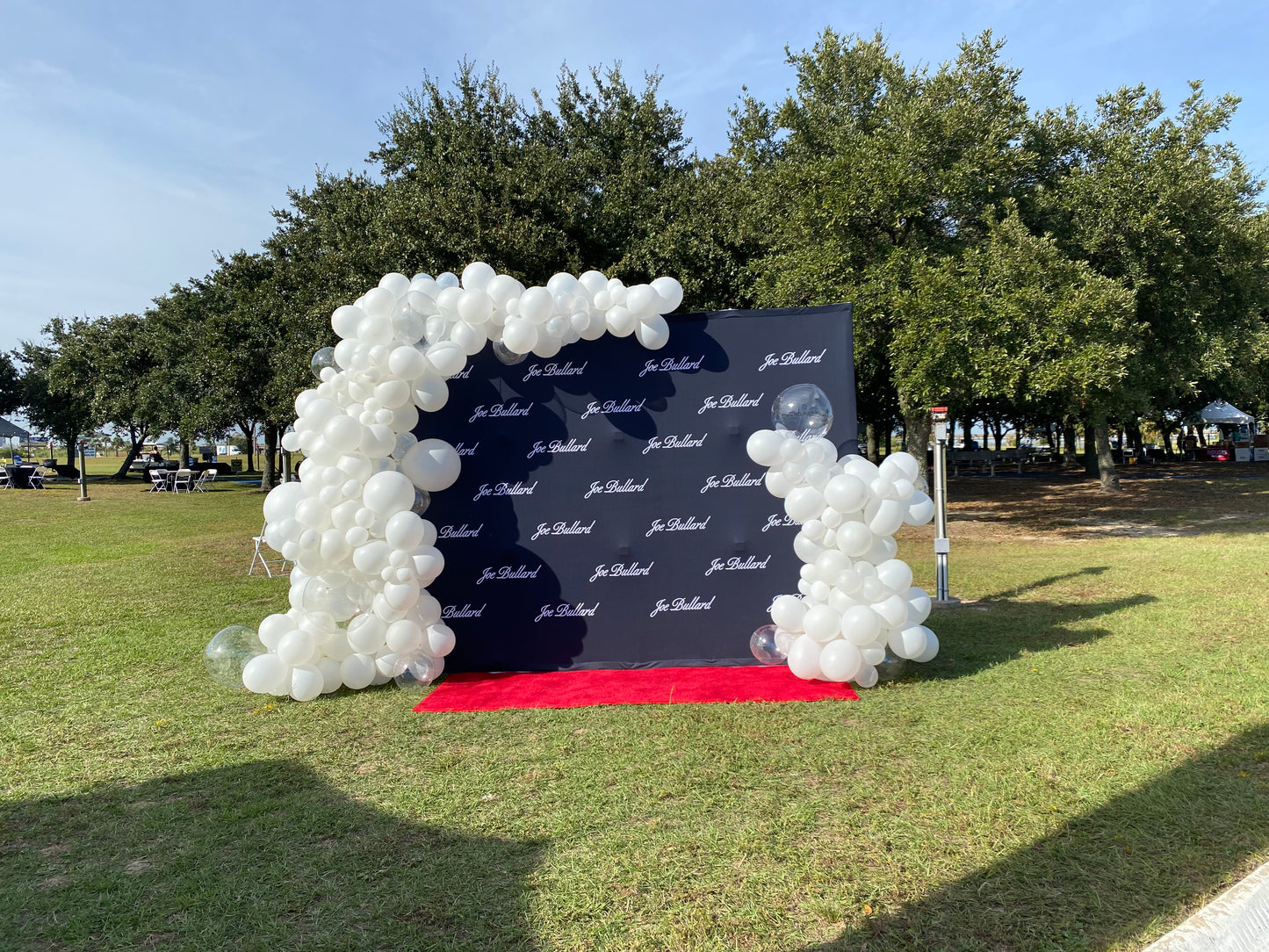 Balloon Arch